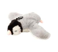 Jouets pour chat - Ailes battantes | Moineau flottant rechargeable | Bâton de taquinerie automatique | Jouet d'exercice au design réglable pour chatons, chiens et autres petits animaux