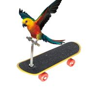 Jouets pour oiseaux de skateboard, jouets éducatifs d'intelligence des oiseaux - Support éducatif pour entraînement de cintre de skateboard - Bird Toys Intelligence Amélioration des fournitures pour