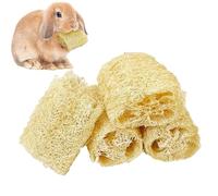 Jouets Rongeurs Pour Lapins, 4 Pièces Fournitures De Jeu De Lapin Luffa, Jouet Chinchilla Interactif, Pour Les Parents D'Animaux Animaux Amoureux Des Animaux Accueil Chat Chien Salon Appartement