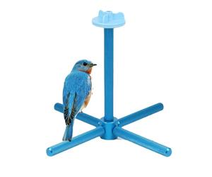 Jouets rotatifs interactifs pour perruches | Jouets pour cage à oiseaux de taille moyenne | Pour faire de l'exercice, jouer à des oiseaux petits, moyens et grands, inséparables, cage à canaris