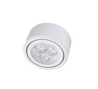 JOUFNING Plafonnier LED À Angle Réglable - Spot Circulaire Unique 111 V~240 V, Forte Transmission Lumineuse, Montage en Surface, Idéal pour L'éclairage des Porches, Couloirs Et Allées(Warm Light,12W)