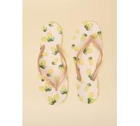 Joules Joules tongs Sunvale