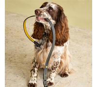 Joules Laisse en Cuir pour Chien Bleu Marine Taille Unique