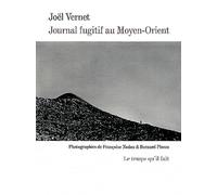 Journal fugitif au Moyen-Orient: Vers Alep