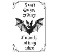 Journal- I can't give you ordinary, It's simply not in my nature, paperback: 100 lined pages themed with bats for your thoughts, dreams, and ideas