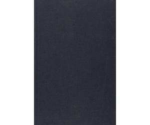 Journal inédit, numéro 2 1896-1902