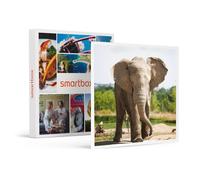 Journée D'exploration En Famille : 4 Entrées Pour Le Safari De Peaugres Près De Saint-Étienne - Smartbox - Coffret Cadeau Sport & Aventure