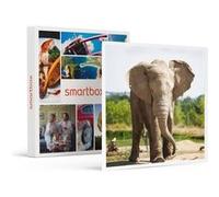 Journée d'exploration en famille : 4 entrées pour le Safari de Peaugres près de Saint-Étienne - SMARTBOX - Coffret Cadeau Sport & Aventure G