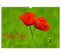 Journées du pavot, Version française (Calendrier mural 2026 DIN A3 portrait), Calendrier CALVENDO mensuel