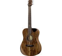 Journey Instruments Journey Instruments OF882C Acacia Acoustic