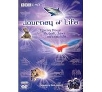 Journey Of Life