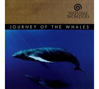 David Arkenstone - Journey of The Whales