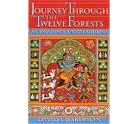Journey Through The Twelve Forests : An Encounter With Krishna