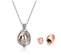Jovivi Collier Urne Funéraire Cendres Pendentif Libellule Balle Tube Bouteille Ouvrant Acier Inoxydable pour Animal Homme Femme Collier Argent+Or rosé
