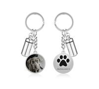 JOVIVI Porte Clef Urne Funéraire pour Cendres d'animal Chien, Pendentif Photo Personnalisé, Urne Commémorative Animaux Compagnie Porte Phot, Porte Clé Chien Cadeau Commémoratifs