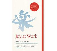 Joy at Work – Organizing Your Professional Life