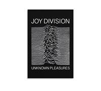 Joy Division - Poster vintage « Unknown Pleasures » - Impression sur toile - Décoration murale rétro pour la maison, la chambre à coucher, le salon - 30 x 45 cm