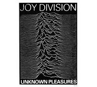 Joy Division: Unknown Pleasures (1979) | Poster Import UK [59 x 84 cm]