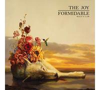 The Joy Formidable - Wolf's Law
