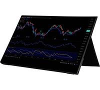 Joy-it Joy-View 15 Moniteur tactile CEE: A (A - G) 39.6 cm (15.6 pouces) 1920 x 1080 pixels 16:9 USB-C®, mini-HDMI™, Micro USB, audio, stéréo (jack 3.5 mm) IPS