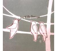 Joy Kills Sorrow [Import]