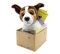 Joy Toy Minnie Adopt me Peluche 18 cm avec Bracelet pour Le Nouveau BFF et Livre de Lecture illustré dans Un Coffret Cadeau 12 x 15 x 25 cm