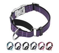 JOYEEIIOO Collier martingale réfléchissant pour chien avec boucle en métal robuste et réglable en nylon pour chiens de taille moyenne et grande - Violet - M