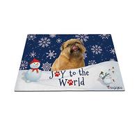 Joyeuses Vacances d'hiver dans La Neige avec Mon Chien d'amour, Adorable Chien Griffon De Bruxelles Tapis De Porte Absorbant Tapis De Bain Anti-Poussière Paillasson D'Entree 40X60Cm