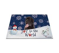 Joyeuses Vacances d'hiver dans La Neige avec Mon Chien d'amour Adorable Dogue Allemand Paillasson D'Entree Absorbant Tapis De Bain Paillasson De Bienvenue pour Intérieur Salon Bain 40X60Cm
