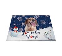 Joyeuses Vacances d'hiver dans La Neige avec Mon Chien d'amour, Joli Chien Breton Tapis De Porte Antidérapant Tapis De Bain Facile À Nettoyer Paillasson D'Entree pour Salon Terrasse 40X60Cm