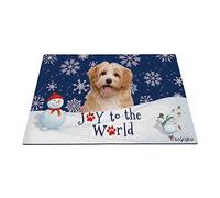 Joyeuses Vacances d'hiver dans La Neige avec Mon Chien d'amour Joyeux Chiot Bichon Havanais Rougeâtre Tapis De Porte Doux Tapis De Bain Paillasson De Bienvenue pour Salon Bain Terrasse 40X60Cm