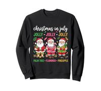 Joyeux Noël en Juillet : Beach Santa Graphic Sweatshirt