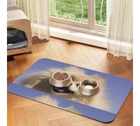 Joyeux Poméranien imprimé,Tapis d'alimentation imperméable pour Animaux de Compagnie, Sets de Table pour Chats et Chiens pour la Nourriture et l'eau, Tapis de Nourriture en Cuir PU,40x60cm