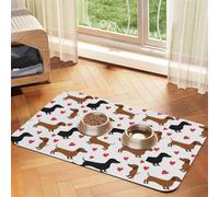 Joyeux Thanksgiving Citrouille,Tapis d'alimentation imperméable pour Animaux de Compagnie, Sets de Table pour Chats et Chiens pour la Nourriture et l'eau, Tapis de Nourriture en Cuir PU,40x60cm