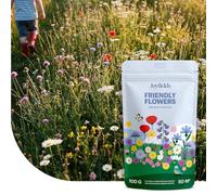 Joyfields Friendly Flowers - Mélange de fleurs pour prairie de jeu - 25 g (12,5 m²) - Mélange ludique de fleurs sauvages - Sûr et adapté aux enfants - Prairie fleurie colorée