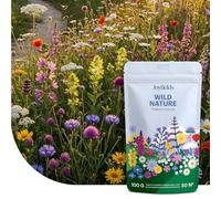 Joyfields Wild Nature - Mélange de Fleurs Sauvages - 100 g (50 m²) - 25+ Espèces Indigènes - Attire les Insectes Pollinisateurs - Fleurs Vivaces