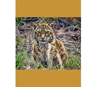 Joyful Nature Notebooks: A beautiful place for all your writing needs