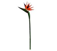 Joygoodta Fleur Artificielle Oiseau du Paradis, Fleur Strelitzia en Plastique avec Longue Tige pour la décoration de la Maison, Plastique Permanent
