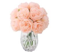 JOYHAZE Lot de 8 pivoines artificielles en soie à tige unique pour mariage, maison, bureau, fête, décoration de fenêtre, centres de table, arrangements floraux à faire soi-même (rose champagne)