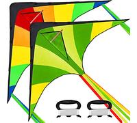 JOYIN Lot de 2 grands dragons Delta vert et arc-en-ciel, facile à voler pour les enfants, cerf-volant de plage avec ficelle de 262,5 pieds de long et jouet d'avion pour l'extérieur