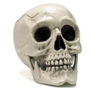 JOYIN Modèle de crâne humain grandeur nature pour Halloween, décoration de squelette d'intérieur et d'extérieur pour enfants, squelette de table en os de tête humaine en plastique réaliste