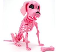 JOYIN Squelette de Chien articulé pour Halloween - Joints articulés - Décoration d'intérieur et d'extérieur - Décoration de fête de cimetière - Maison hantée - 24,9 x 11,9 x 32 cm