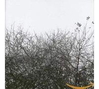 Joyner, Simon - Lost With The Lights On