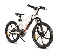 JOYSTAR Vélo Électrique Enfant dès 7 Ans - VTT 250W Moteur Brushless,Batterie Amovible, Freins Double Disque, 24 km Autonomie-Blanc