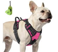 Joytale Anti-Traction Harnais Petit Chien, Rose Vif, S