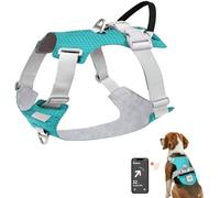 Joytale Harnais pour Chien avec Support pour Airtag, Harnais Léger et Souple avec Boîte Lumineuse LED Rechargeable, Gilet de Sécurité Ajustable pour Promenades et Entraînement, Bleu, XL