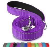 Joytale Laisse Double Face Réfléchissante Robuste pour Chien, avec Poignée Rembourée,1.2m x 2.5cm,Violet