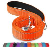 Joytale Laisse Double Face Réfléchissante Robuste pour Chien, avec Poignée Rembourée, 1.5m x 2.5cm, Orange