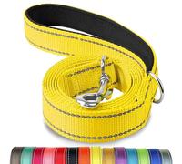 Joytale Laisse Double Face Réfléchissante Robuste pour Chien, avec Poignée Rembourée, 1.5m x 2cm, Jaune