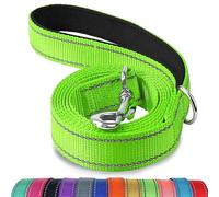 Joytale Laisse Double Face Réfléchissante Robuste pour Chien, avec Poignée Rembourée, 1.5m x 2cm, Vert
